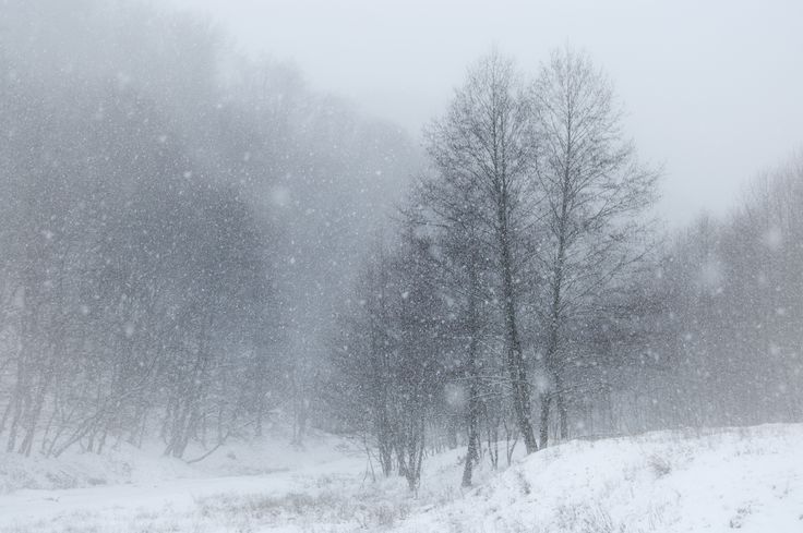 temp&ecirc;te de neige